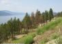 View of Okanagan Lake (towards Vernon)